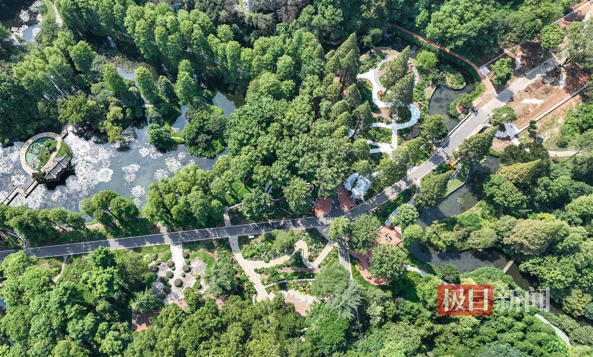 金鲨银鲨哪里有